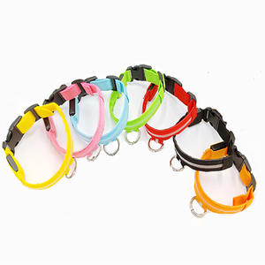 Collar LED de nailon ajustable para mascotas, seguridad nocturna sólida, resplandor oscuro, Correa fluorescente luminosa para perros, estampado personalizado para perros - Product Image 2