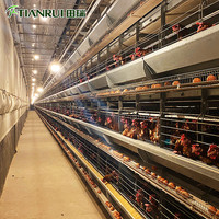 Cage à poulets de type H pour équipement avicole, prête à être expédiée, système de cage à poulets automatique en fil de fer galvanisé soudé