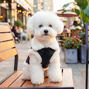 เสื้อผ้าสุนัขสุดหรู เสื้อโค้ทหนังเทียมสำหรับสุนัข แต่งขอบขนเทียม เสื้อแจ็คเก็ตสำหรับสัตว์เลี้ยงฤดูหนาวที่ให้ความอบอุ่น พร้อมห่วงรัดสายรัดอก สำหรับสุนัขพันธุ์เล็ก - Product Image 4