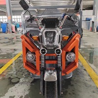 Nouveau style Tricycle électrique 60V1000W, Tricycle cargo, Camion de transport, Vélo électrique ouvert à 3 roues