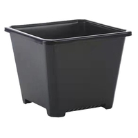 Pot bunga sukulen pemotong bibit khusus Pot bunga kecil lintas batas Putih Hitam 10cm pabrik Pot persegi grosir