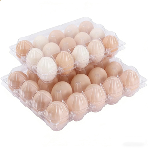 Plateau à œufs transparent en plastique alimentaire multi-trous, 30 alvéoles, pour œufs de poule, vente en gros directe usine - Product Image 5