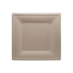 <span class=keywords><strong>10</strong></span> inch tấm vuông phân hủy sinh học bã mía dùng một lần khả năng chịu nước thân thiện với môi lò vi sóng an toàn Đảng cho bữa ăn tối đám cưới - Product Image 5