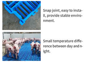 Venta directa de fábrica Soportes de respaldo doble Piso Diferentes tamaños Equipos agrícolas Pisos de plástico - Product Image 3