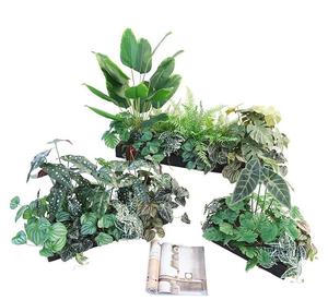 Piante Artificiali Alte Personalizzate, <span class=keywords><strong>Fiori</strong></span> Decorativi in <span class=keywords><strong>Vaso</strong></span>, Ghirlande e Piante per Soggiorno, Piante e Vegetazione Artificiale - Product Image 4