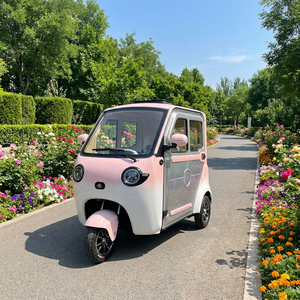 Mini-tricycle électrique 60V à basse vitesse pour seniors avec caméra de recul, usage domestique, fermé, pour loisirs, fabriqué en Chine - Product Image 1