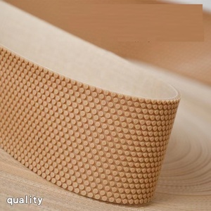Güçlü kaba sürtünme kayışı/tekstil rulo bantları rulo şeritleri kapsayan - Product Image 2
