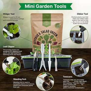 Assortiment de 22 variétés de semences de laitue non-OGM pour salades et légumes verts, pour jardin intérieur et extérieur, y compris l'arugula pour pots suisses et jardinières - Product Image 5