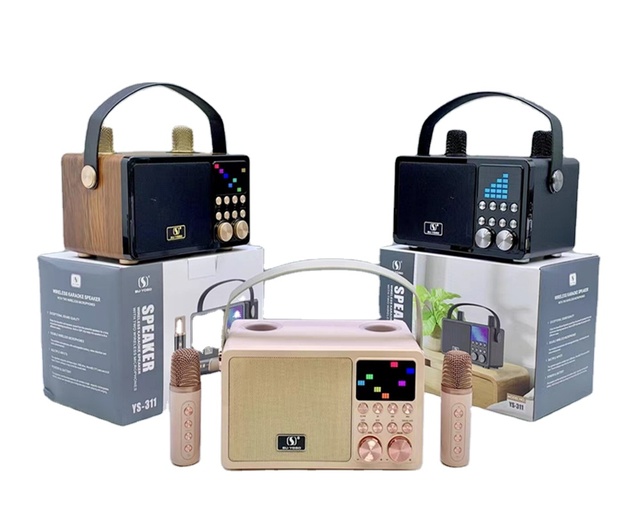 New Product YS-311 Karaoke Portable Party Rechargeable Party Speakers Rgb Led Outdoor Blue Tooth Speaker with Mic