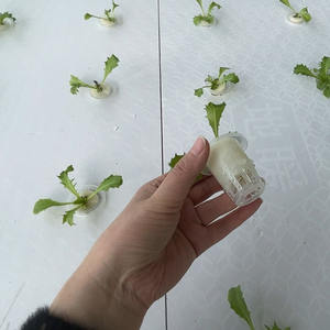 온실 플랜트 사용을위한 강철 및 플라스틱 트레이가있는 마이크로 그린 썰물 롤링 벤치용 대형 수경 수직 성장 테이블 - Product Image 3