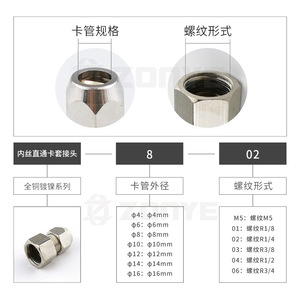 Raccord à filetage interne en cuivre nickelé 8 mm, filetage G, connecteur de tuyau de refroidisseur d'huile, quincaillerie pneumatique - Product Image 2