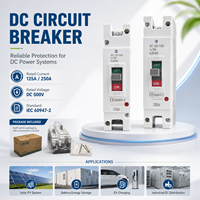Disjoncteur CC solaire (MCCB) 1P 2P 500V à protection de sécurité fiable, en matériau ignifuge durable, pour système d'alimentation photovoltaïque, directement du fabricant