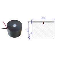 Capsule de microphone dynamique unidirectionnelle pour scène et chant, 500 ohms