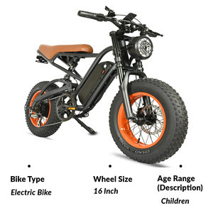 Nouveau Vélo Électrique Urbain <span class=keywords><strong>CF</strong></span> 2026 – Batterie Longue Durée 13 Ah, Vitesse Maximale 48 V 30-50 km/h – Expédition en Russie, Biélorussie, Kazakhstan, Kirghizistan, Ouzbékistan - Product Image 6