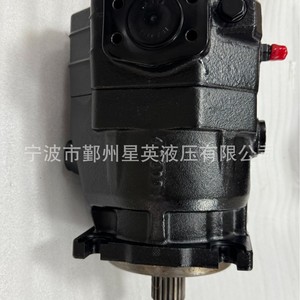 Pompe à piston hydraulique PMP PMP90 PMP110 PMH90 PMH110 d'origine pour applications hydrauliques - Product Image 2