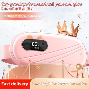 Cinturón Térmico Inteligente Pretty Intelligent Warming Palace, Recargable por USB, Temporizador de 0.5h, Pantalla Inteligente, Masaje con Compresión Caliente Controlable - Product Image 2