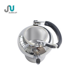 Nouvel ensemble de cafetières arabes électriques Dallah 2024, très vendu, avec isolation thermique de 24h, capacité 1,0L + 1,6L - Product Image 5