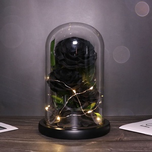 Suministro directo de fábrica 2023, superventas, Rosa eterna, flor preservada, <span class=keywords><strong>rosas</strong></span> para siempre en cúpula de cristal led - Product Image 6