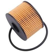 Filtre à huile MS1-6744-AA HY1-6744-AA OX1243D HY16744AA MS16744AA UTILISATION pour MITSUBISHI