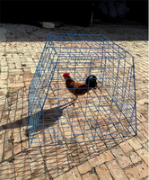 Cage à poules pliable portable en fil de fer galvanisé de haute qualité, revêtement PVC, couleur antirouille, avec portes latérales et supérieure