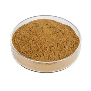 <span class=keywords><strong>Poudre</strong></span> d'extrait de racine de <span class=keywords><strong>Costus</strong></span> (Aucklandia Saussurea Lappa) de qualité alimentaire biologique personnalisable <span class=keywords><strong>en</strong></span> gros, 10:1, certifiée Halal/Kosher, <span class=keywords><strong>en</strong></span> fût - Product Image 3