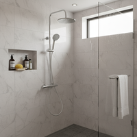 Cartouche de vanne homologuée ACS, test NSS ≥96 heures, colonne de douche murale en acier inoxydable avec mitigeur thermostatique
