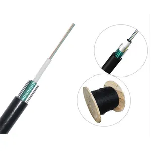 Outdoor Aerial Single Mode 2 4 6 8 Core Armored Fiber Optic Cable Gyxtw Gyxty 1Km Optical Fibra Cable With Two Steel Wire
