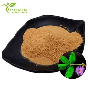 消化器の健康処方のための純粋なミモザ<span class=keywords><strong>Pudica</strong></span>抽出物 - Product Image 1