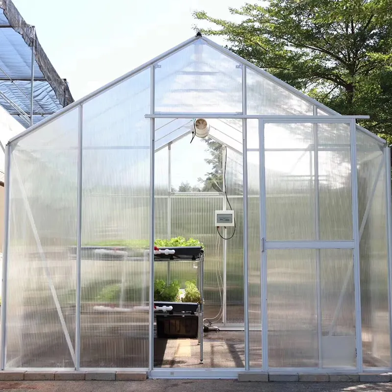 Modern Eco-friendly Transparent Poly roof and wall Home Tunnel Garden Green House for Farming