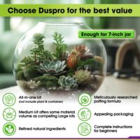 Kit de démarrage Eco Recycle Terrarium Coco Coir Tourbe Mousse Écorce De Pin Perlite Pumice Mesh Barrière Outils Guide Livre DIY