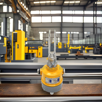 Interrupteur à diapason de type vibration APXYC, matériau 316, double fourche, filetage G1, relais DPDT à quatre fils, sortie DC24V, précision 3 mm, Tuya