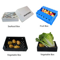 Caisse pliable en plastique ondulé PP écologique pour la vente en gros, idéale pour l'emballage de fruits (orange, pêche) et légumes, et pour le déménagement.