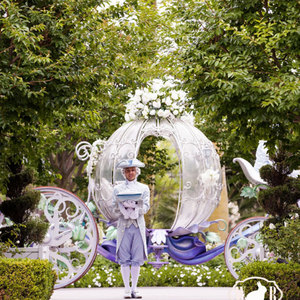 Chariot à chevaux mobile gracieusement chariot à chevaux de princesse chariot à <span class=keywords><strong>cendrillon</strong></span> électrique chariot à citrouilles de mariage - Product Image 2