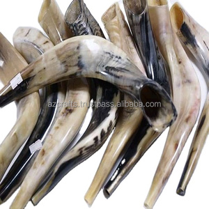 Shofar en corne de bœuf poli en gros - Artisanat de haute qualité, objet d'art et de collection, fabricant de shofars naturels (A Z CRAFTS) - Product Image 6