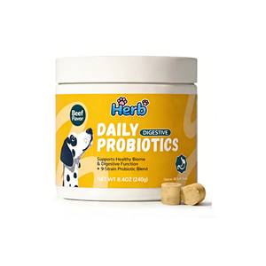 Fournisseurs de friandises pour chiens à base de probiotiques, sous marque privée OEM/ODM, pour la santé intestinale des animaux de compagnie, aliments et compléments pour animaux. - Product Image 1