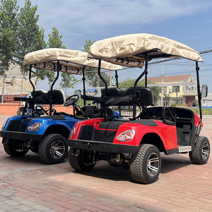 Vente directe en usine de voiturette de golf de dinde électrique avec services disponibles - Product Image 6