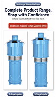 Pompe à eau submersible multi-étages en acier inoxydable QD 5,5 CV à grand débit pour l'irrigation des jardins et les arroseurs
