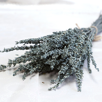 Bunga Lavender Kering Alami Ramah Lingkungan dari Yunnan dengan Aroma Harum untuk Dekorasi Rumah & Hari Ibu