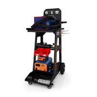 Chariot d'équipement professionnel pour atelier automobile