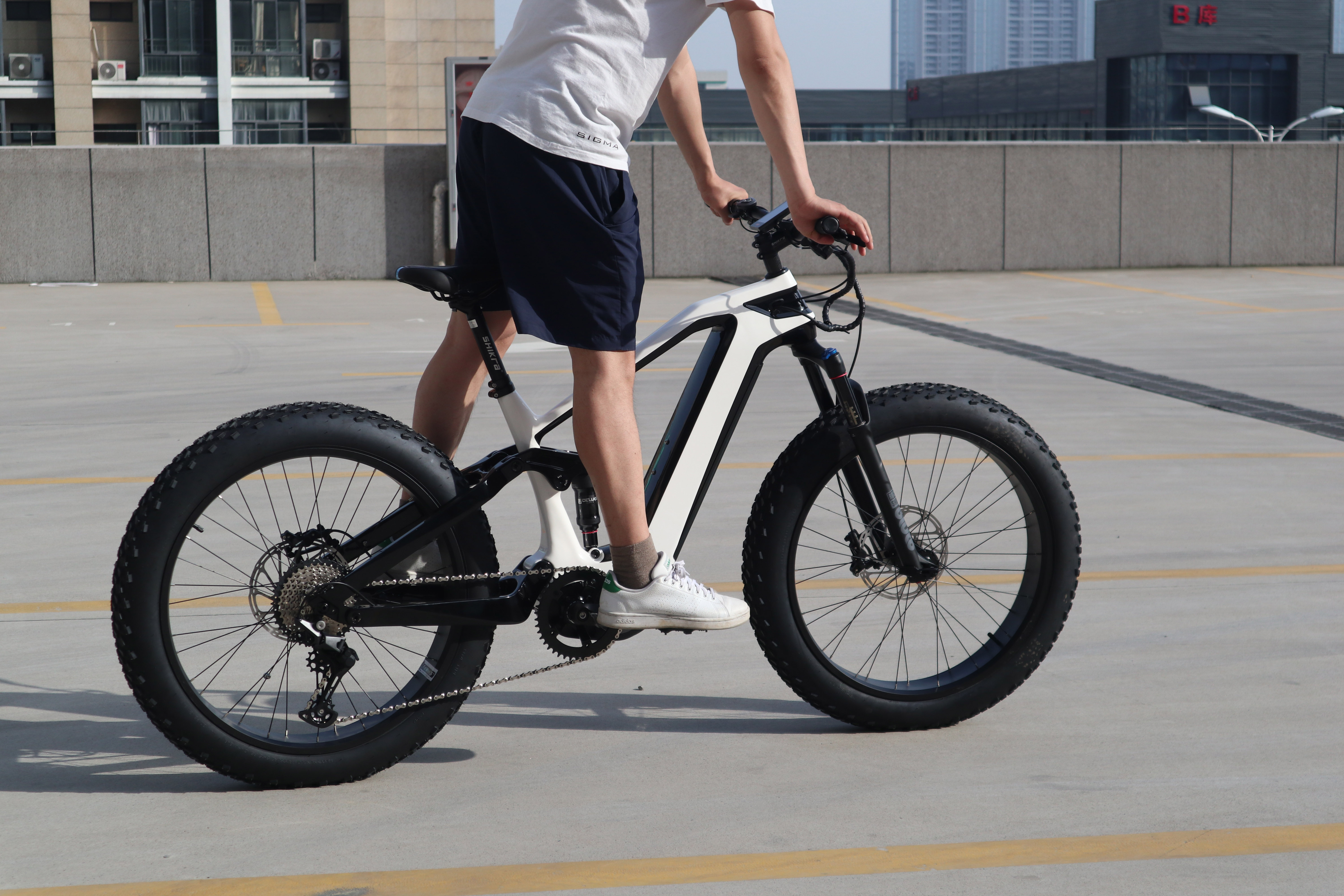 Himiway Zebra Electric Bike - Jaxn Ebike – Jaxn ebike