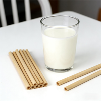 Pailles à café en bambou jetables de haute qualité, lisses, biodégradables, pailles à eau en bambou pour la maison, le restaurant