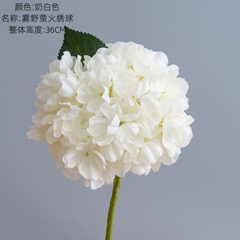 Blanc crème