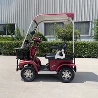 Scooter électrique compact 2 places à 4 roues, stable, basse vitesse, 60V 800W, avec toit ouvrant, idéal pour la ferme, le village, la campagne et les loisirs.