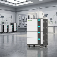 Batterie LiFePO4 48V 300Ah 15KWh 30KWh 45KWh 60KWh Empilable avec Cellules CALB Grade A et BMS 200A pour Système de Stockage d'Énergie Solaire Domestique