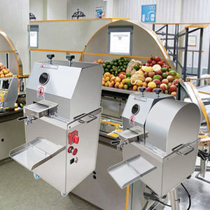 Máquina Extratora de Suco de Cana de Açúcar Elétrica Comercial Industrial - Product Image 2