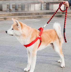 8 colori 1.5M catena per cani in Nylon intrecciato 3 in 1 corda rotonda in Nylon guinzaglio per cani 3 pz collare per animali domestici imbracatura e guinzagli - Product Image 6