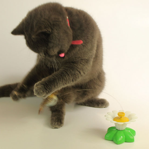 Giocattolo Eletronic Per Gatti Snake Cat Toys Automático Interactivo Giratorio Mariposa Tnel De Camuflaje Color Para Mascotas - Product Image 5