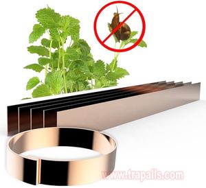 Anillo <span class=keywords><strong>de</strong></span> banda <span class=keywords><strong>de</strong></span> protección vegetal orgánica para repeler babosas, trampa para caracoles, Control <span class=keywords><strong>de</strong></span> plagas, anillo <span class=keywords><strong>de</strong></span> cobre a prueba <span class=keywords><strong>de</strong></span> babosas - Product Image 4