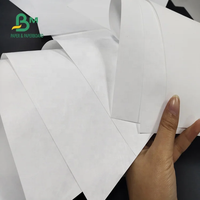 Papier Tyvek blanc enduit de 787mm de largeur 1025D pour imprimante à jet d'encre HP Cannon