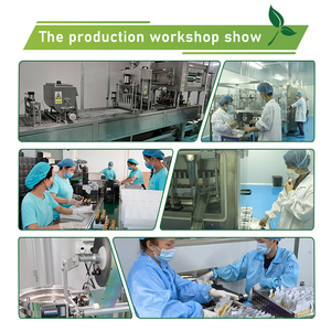 Poudre de protéines végétale biologique OEM Gym avec fibres prébiotiques, sans lactose ni sucre, poudre de protéines à base de plantes, protéines musculaires - Product Image 6